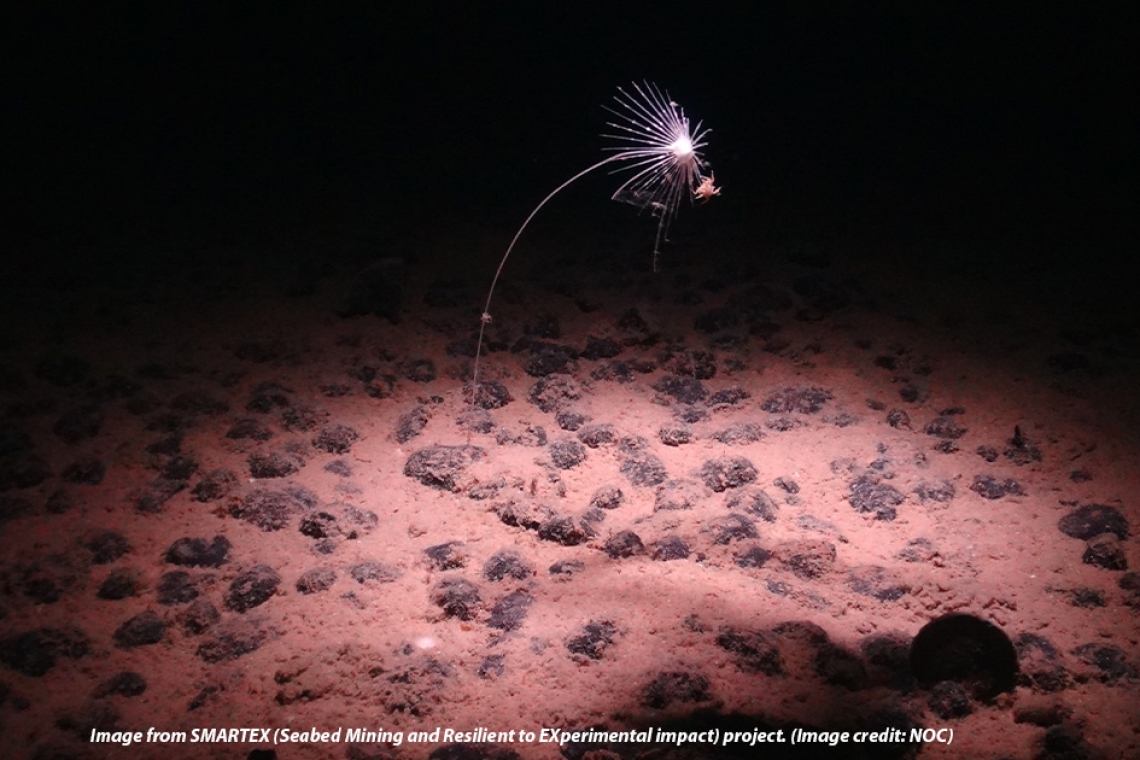Faunal Boundary Line Discovered Across the Deep Pacific Ocean