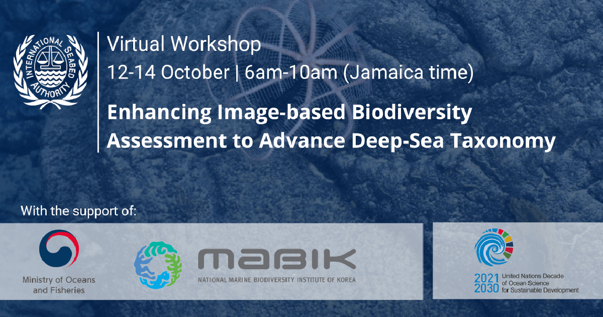 ISA to Host Workshop on Enhancing Image-based Biodiversity Assessments to Advance Deep-Sea Taxonomy